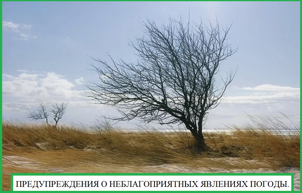 ПРЕДУПРЕЖДЕНИЯ О НЕБЛАГОПРИЯТНЫХ ЯВЛЕНИЯХ ПОГОДЫ..